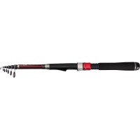 DAIWA LIBERTY CLUB LIGHT PACK 20-270 短節萬用竿
