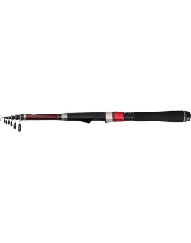 DAIWA LIBERTY CLUB LIGHT PACK 20-270 短節萬用竿